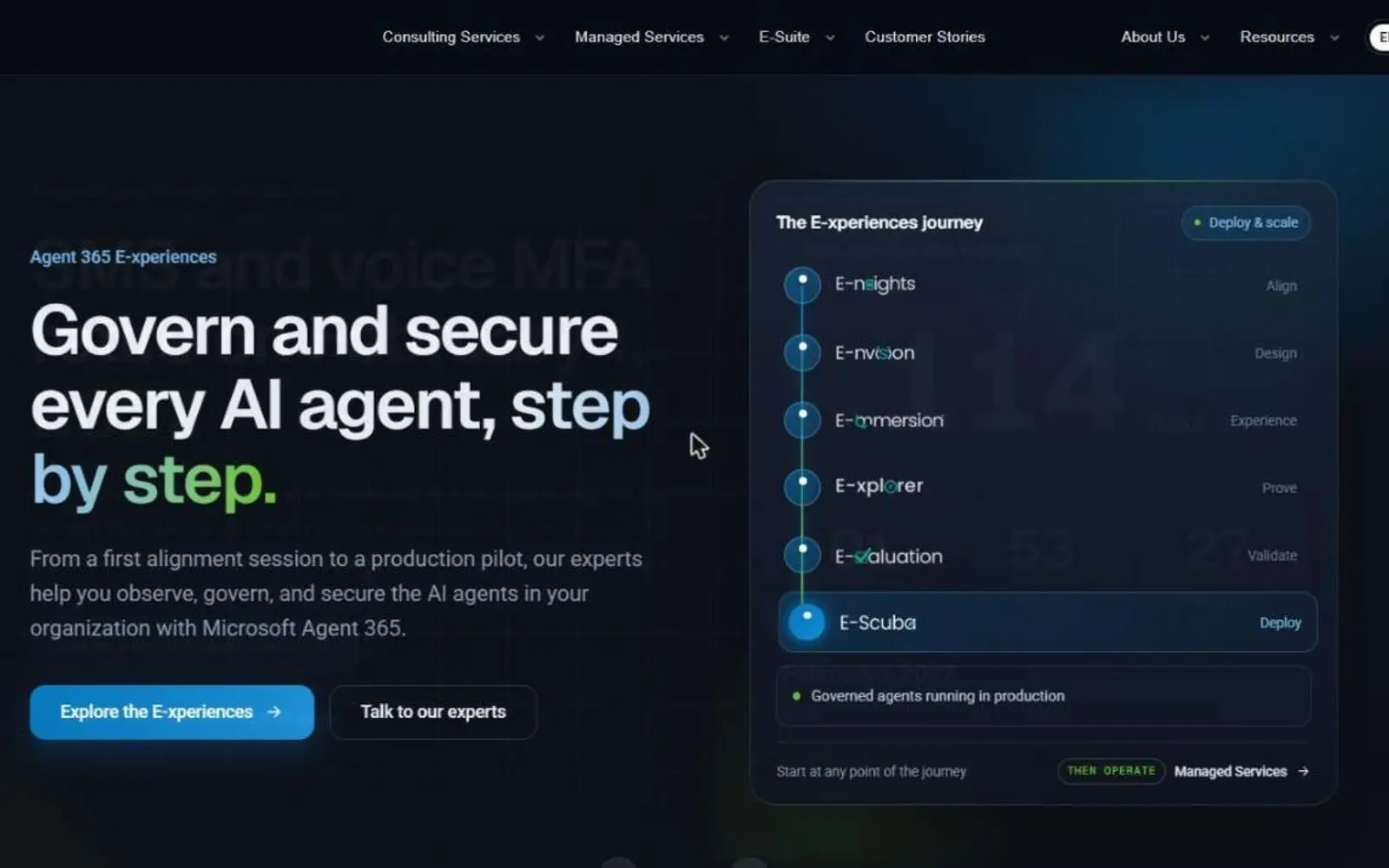 Sitio de Synergy Advisors: recorrido de las seis E-xperiences