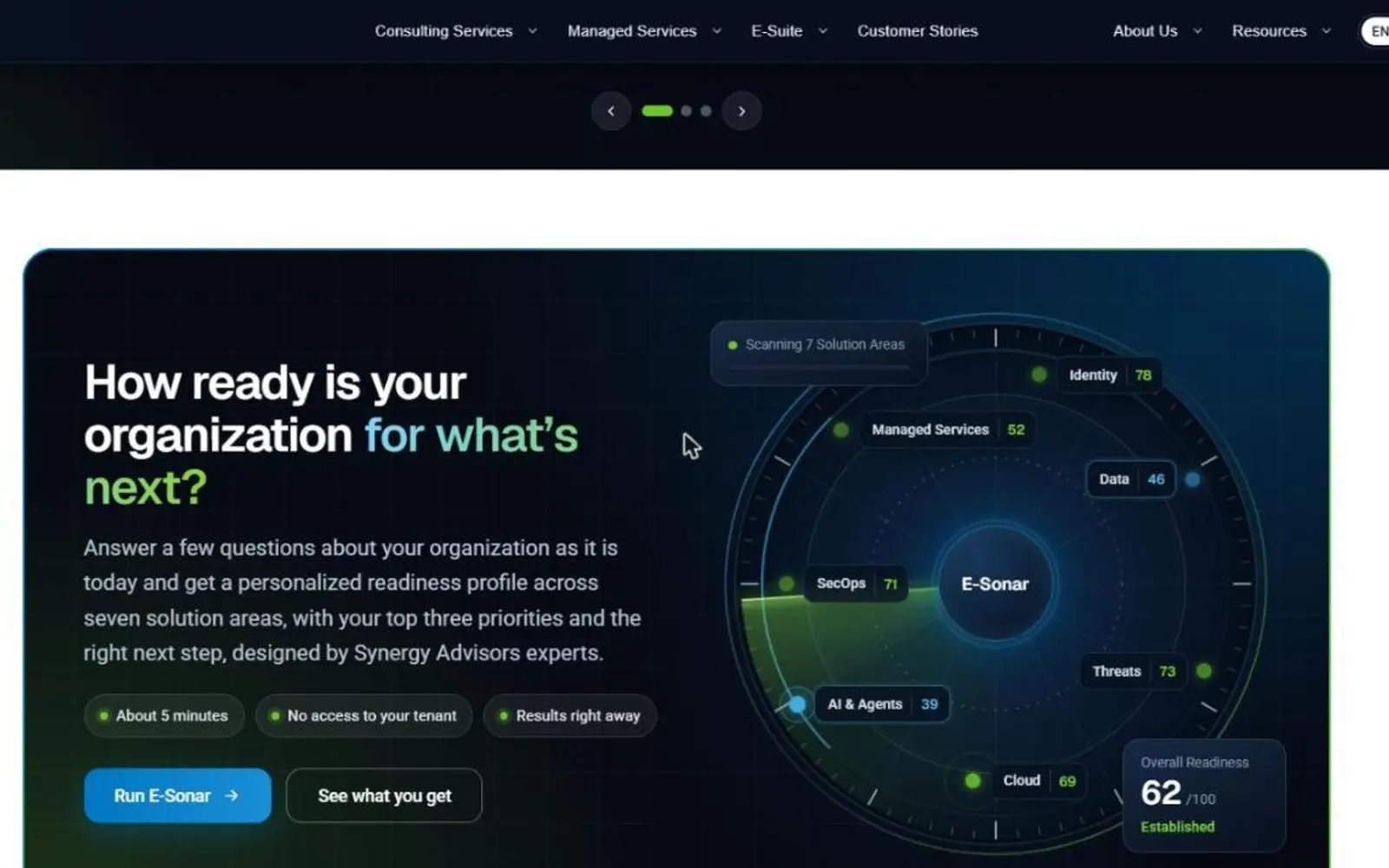 Sitio de Synergy Advisors: diagnóstico interactivo E-Sonar con siete áreas